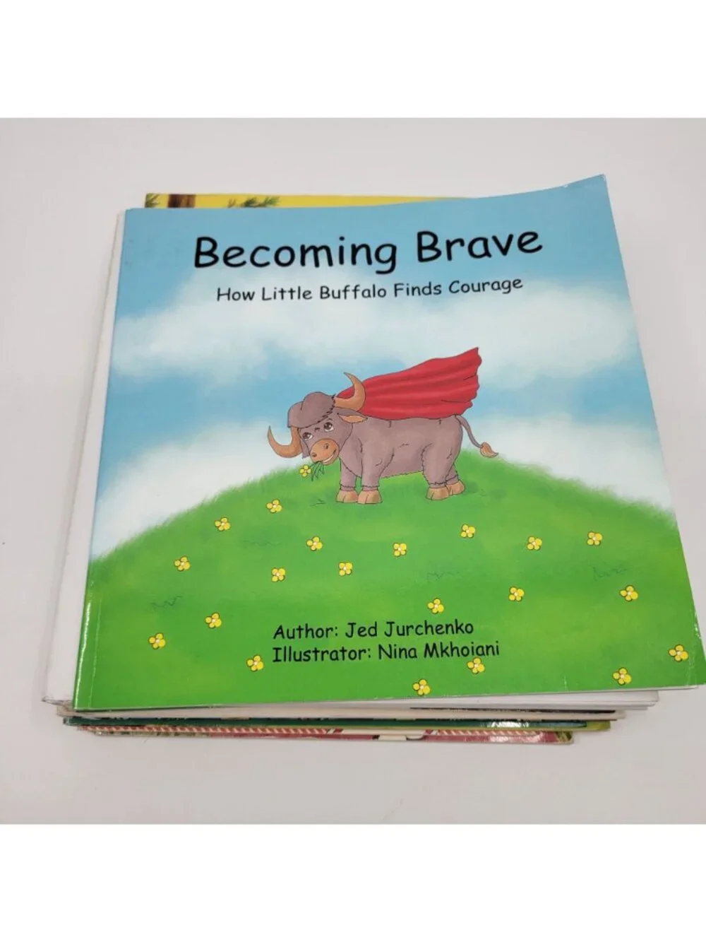 Children's Book Lot of 9 - Emotional Intelligence, Resilience - BK048